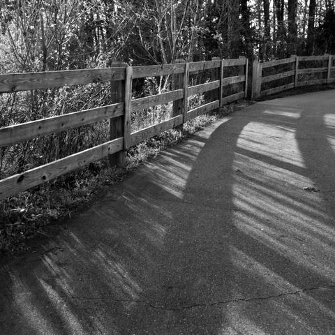 A wooden fence and the shadow it casts on an asphalt path
