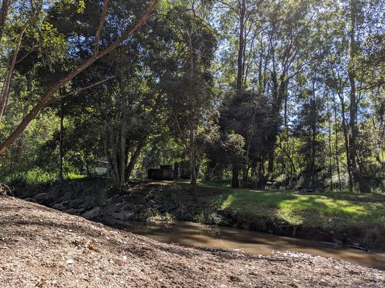 blue sky, tall trees, and a creek