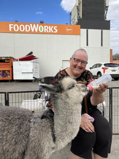 My better half feeding the baby alpaca milk from a bottle.