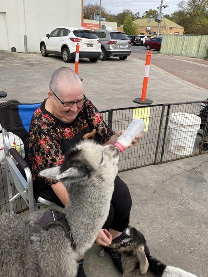 My better half feeding the baby alpaca milk from a bottle.