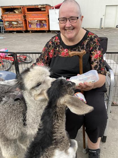 My better half feeding the baby alpaca & a miniature goat milk from a bottle.