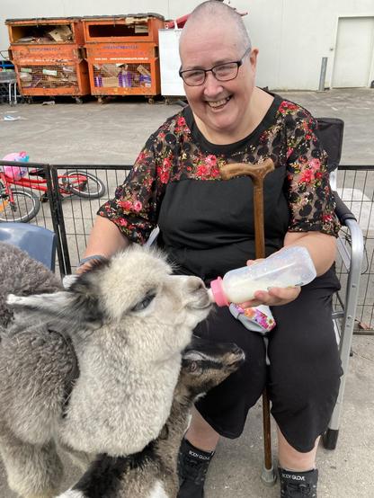 My better half feeding the baby alpaca milk from a bottle.