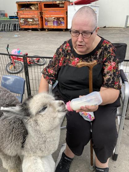 My better half feeding the baby alpaca milk from a bottle.