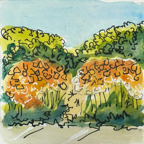 Two thick patches of orange flowers growing before low shrubs. There's a sidewalk and a blue sky.