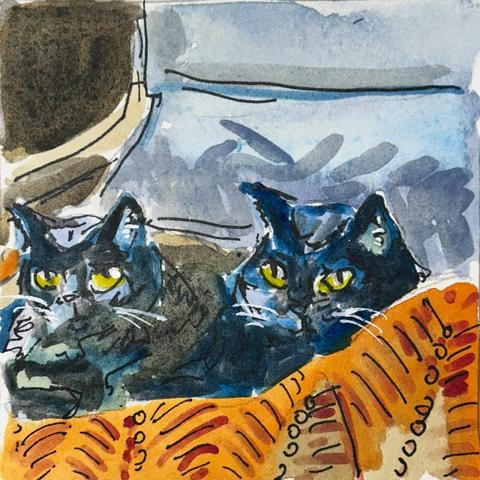 Two black cats snuggled together on an orange knit blanket.
