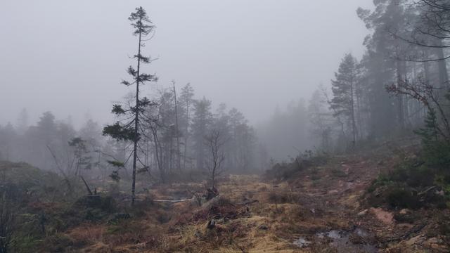 Schiebepassage.