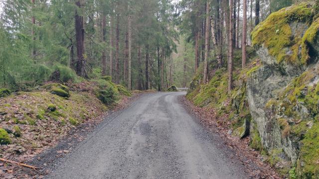 Schotterstraße durch felsigen Wald. In der folgenden Kurve ist eine Leitplanke zu erkennen