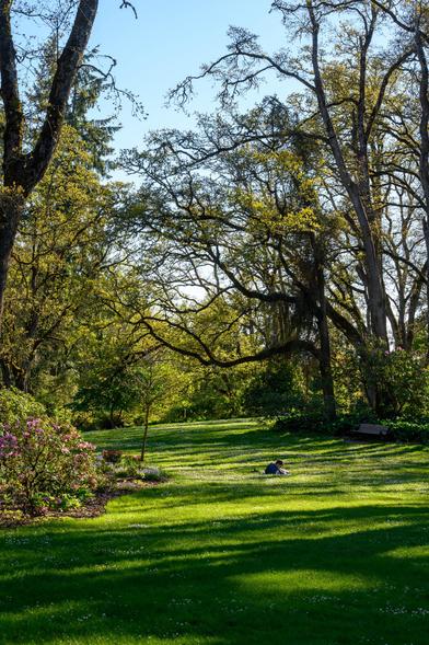 A sunlit park scene featuring lush green grass and large trees. A person is lying on the grass, surrounded by colorful flowering plants. A wooden bench is visible in the background.