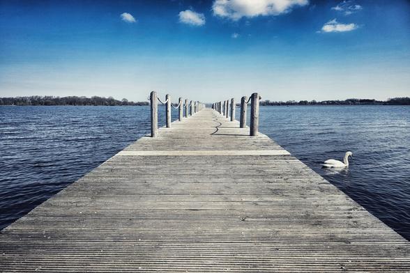 A long wooden dock extends into a calm blue lake under a partly cloudy sky. A single white swan swims near the end of the dock on the right side. Trees line the distant shore.
