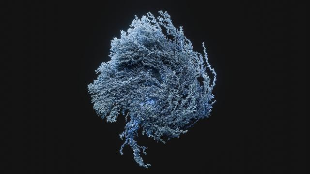 A diffusely lit complex organic structure, made from countless tiny simulated points, roughly resembling a coral plant, colored in pale blue.