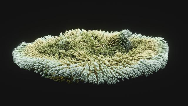 A diffusely lit complex organic structure, made from countless tiny simulated points, roughly resembling fungal or mossy growth, with a lot of horizontal spread. Stronger greens in the center and fading to a more pastel green at the outer edges.