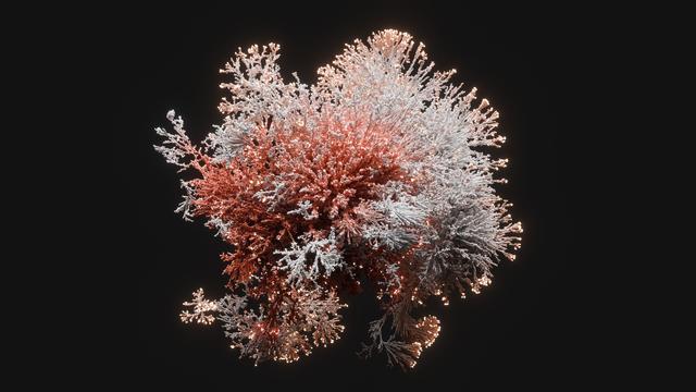 A diffusely lit complex organic structure, made from countless tiny simulated points, roughly resembling a coral plant, colored in red, white and coral.