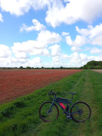 My #gravelbike in the middle of nowhere !!