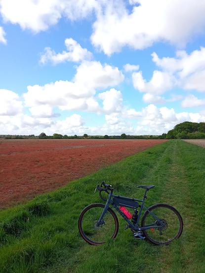 My #gravelbike in the middle of nowhere !!