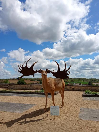 Megaceros at the museum of prehistory