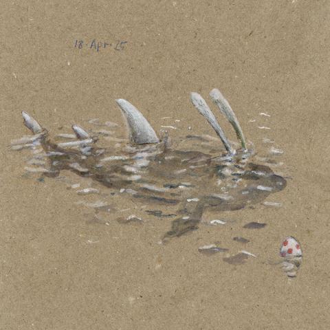 Drawing on grey paper (white  and black pencil and grey watercolour): The image shows the shape of a shark visible just underneath the slightly rippled water surface. The shark‘s fins protrude above the water, as well as two long, rabbit-like ears. There is also an egg floating in the water.