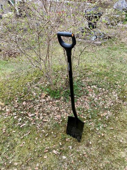 En sprillans ny svart spade, modell längre, nedstucken i gräsmattan framför en buske.