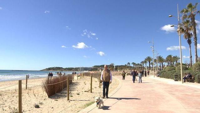Costes renaturalitza la platja de la Pineda, a Vila-seca, perquè suporti millor els efectes del canvi climàtic (3Cat)