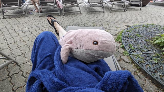 Rosåhaj sitting on my lap. I'm on a sun chair wearing a blue bath robe.