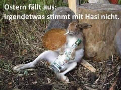 Das Bild zeigt eine Hasenfigur, die in einer entspannten Haltung auf dem Boden sitzt. Der Hasen hält eine Flasche in der Hand und hat eine Zigarette im Maul. Er lehnt sich an einen Baumstamm, der im Hintergrund zu sehen ist. Der Boden ist mit Gras und trockenem Laub bedeckt. Über dem Hasen steht in deutscher Sprache der Text: "Ostern fällt aus: irgendwas stimmt mit Hasi nicht." Dieser Text spielt auf die traditionelle Rolle des Hasen bei Ostern an und vermittelt eine humorvolle Botschaft.