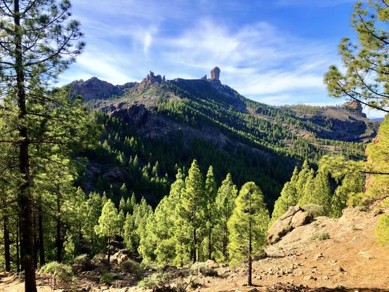 More hiking! Here's another one of the landmarks from the island. Right in the centre of the snap shot, the majestic and sublime Roque Nublo. An 80 meters tall monolith watching over the entire landscape of pine trees and mountains that allow you to see all the way to Maspalomas Dunes on a clear blue sky day. Imperial views all around. Right next to it, you can also see what's known as The Frog (a smaller rock) and The Monk (in a prayer position) nearby. I took this snap shot from a reservoir dam not too far from Roque Nublo: Presa de los Hornos. This is one of my favourite landmark views from the island. As peaceful and quiet as it can get. Just plain gorgeous! 😍👍🏻 

Happy Easter, everyone! 🙌🏻😍🙌🏻