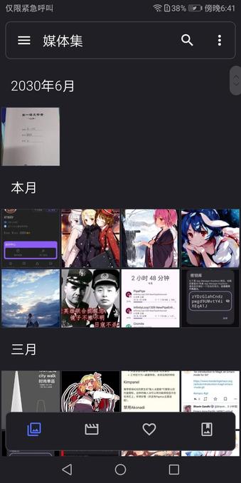Screenshot of Aves Libre, showing a photo in the "June 2030" section (in Chinese).