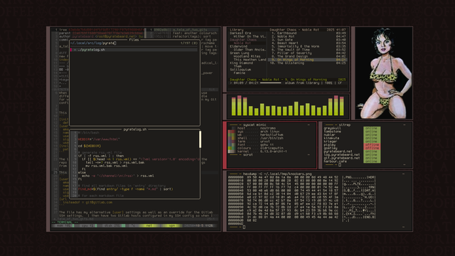 screenshot of a heavily customised linux desktop