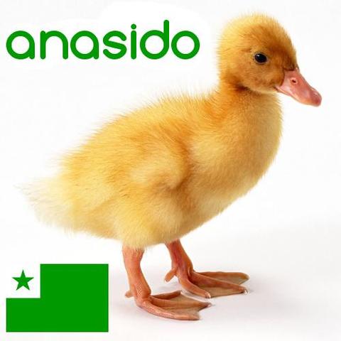 anasido