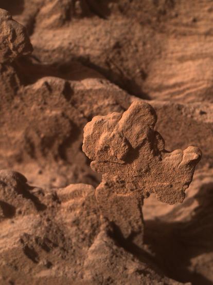 MSL_-_Sol_4513_-_MAHLI_(54458817716).jpg