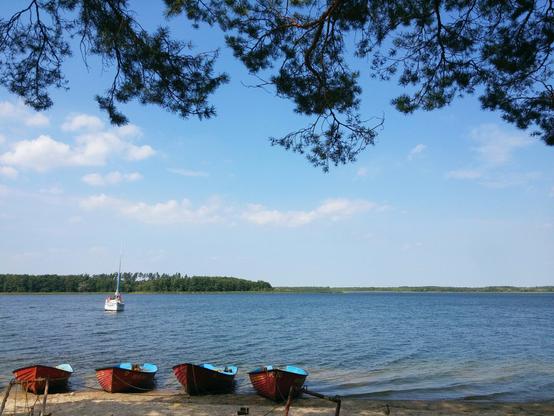 The view from under the tree to the lake. On the shore, 4 blue-brown small boats stand on the sand. a little further out on the lake, a sailboat is sailing with several people on board. On the opposite shore of the lake you can see a lot of greenery.