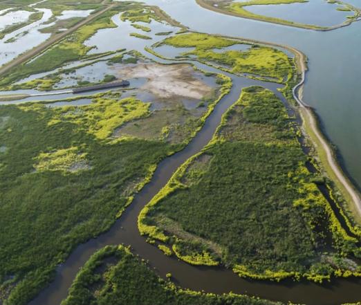 Een luchtfoto van de eilanden in het markermeer. Je ziet veel groen met water ertussen.