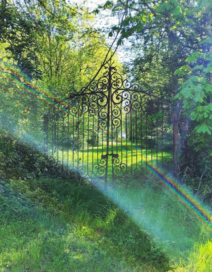 Un portail en fer forgé noyé dans la végétation verte donnant sur nul part, avec un reflet sur l'objectif formant un arc en ciel violet.