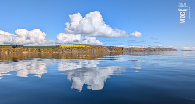 Calm blue sea, landscape and blue skies with some puffy clouds.