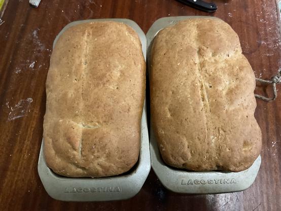 Two loaves of Whole Wheat bread as viewed from the top.