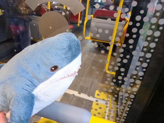 A Blahaj in the bus on the way to EasterHegg.