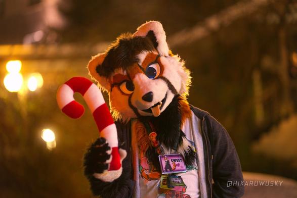Me in my partial fursuit holding a plush candy cane and looking at the camera. I'm wearing moodbadges, which are currently flipped to show "sweet"