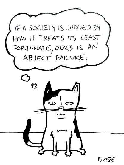 a black and white cat sits and thinks "if a society is judged by how it treats its least fortunate, ours is an abject failure."