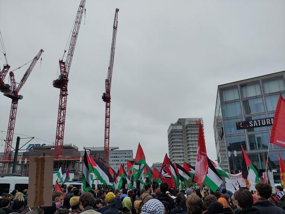 Palästina-Flaggenmeer bei der "Wir bleiben alle - Politisch motivierte Abschiebungen stoppen!" Deno auf dem Alexanderplatz