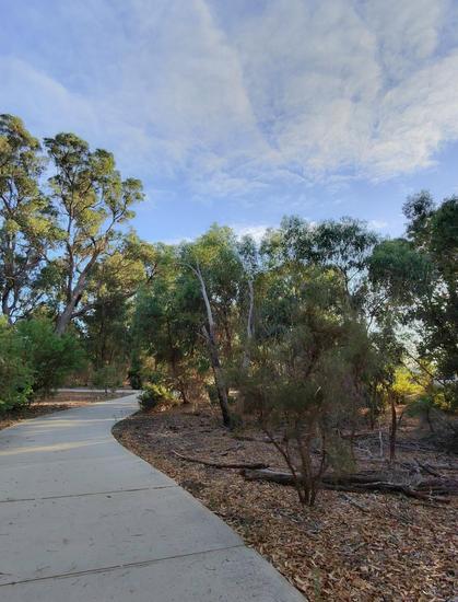 A winding concrete path through a forested area with tall trees and a partly cloudy sky.