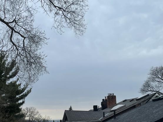 A photo of grey sky over the East End of Toronto framed by trees and roofs.