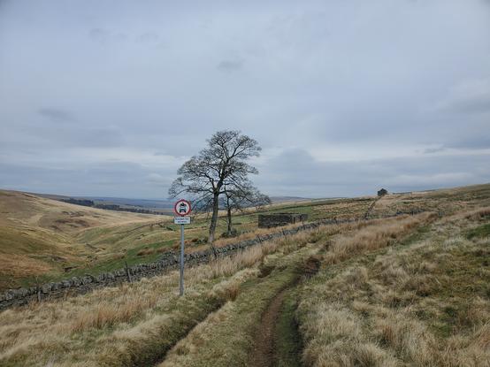 Muddy tyre tracks lead through rough grassland, bordered by a wall on one side with a small valley behind. The only trees are two bare trees next to a ruined stone building. There is a circular No Vehicles "except for access" road sign on the track