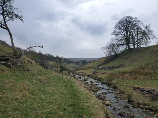A stream flows over a rocky bed in a grassy, U-shaped valley. Bare trees and old stone walls are on the opposite bank. The sky si grey with cloud and threatens rain