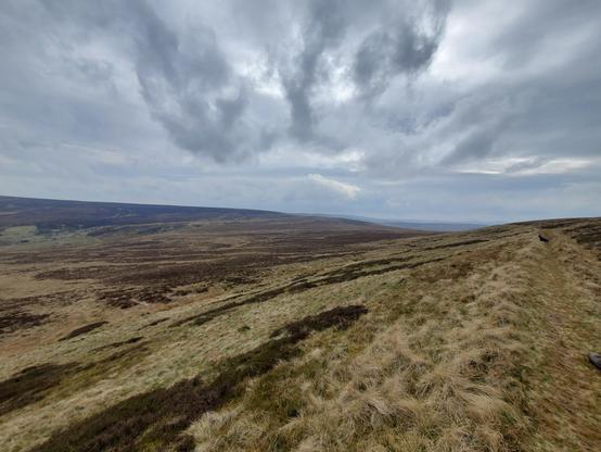 An expanse of English Moorland, rough grass patchworked with brown heather, stretches off to the far horizon. The sky is grey and cloudy.