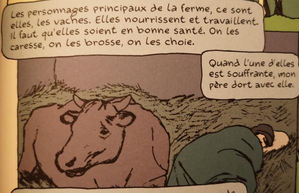 Un homme sous une couverture dormant dans la paille à côté d'une vache, dessin.