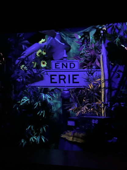 Installation art with purple and green lighting showing a street sign sign saying end Erie