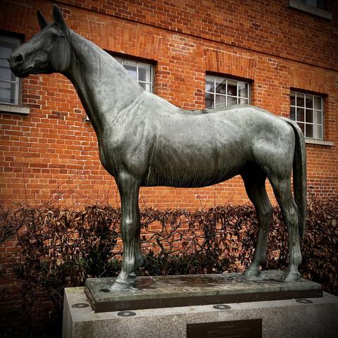 Bronzestatue des Hengsts Tempelhüter vor dem deutschen Pferdemuseum. (Eigene Aufnahme)