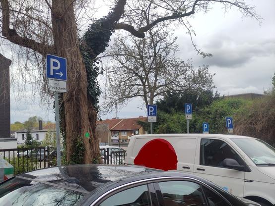Innerstädtisches Foto. Im Vordergrund stehen ein schwarzes Auto und ein weißer Van. Dahinter ragt eine Reihe von fünf Parkschildern hervor, alle leicht unterschiedlich. Von links nach rechts: Parkschild "mit Parkschein" und mit Pfeil nach rechts, Parkschild "mit Parkschein" und mit Pfeil nach links, Parkschild mit Pfeil nach schräg unten links, ein normales Parkschild in einem erkennbar helleren Blauton, und ein normales Parkschild. Im Hintergrund sind noch ein alter Baum, eine Häuserreihe, der Florianturm und ein bedeckter Himmel zu sehen.