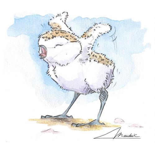 Petit poussin de gravelot qui baille et étire ses petites ailes sans plumes... Croquis au crayon peint à l'aquarelle.