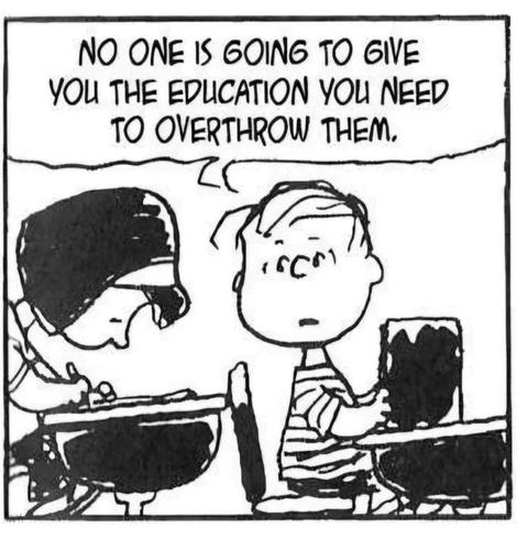 A peanuts cartoon with Linus turning in school class to a girl behind him, saying "No one is going to give you the education you need to overthrow them"