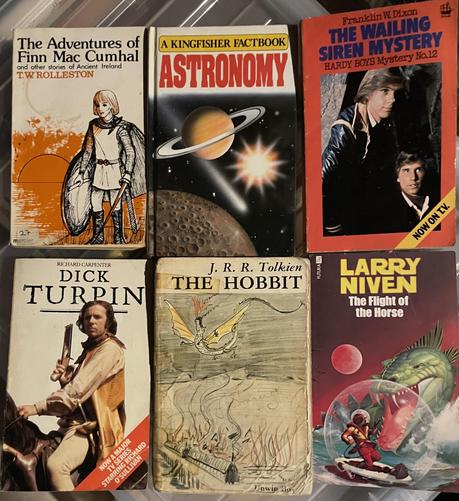 A collection of six books featuring titles and authors, including "The Adventures of Finn Mac Cumhal," "Astronomy," "The Wailing Siren Mystery," "Dick Turpin," "The Hobbit," and "The Flight of the Horse."